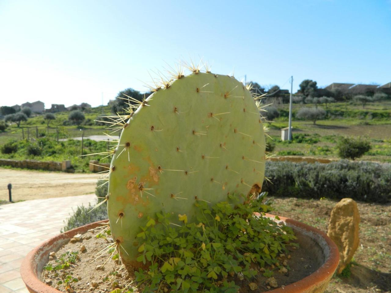 Agriturismo Passo Dei Briganti Agrigento Zewnętrze zdjęcie